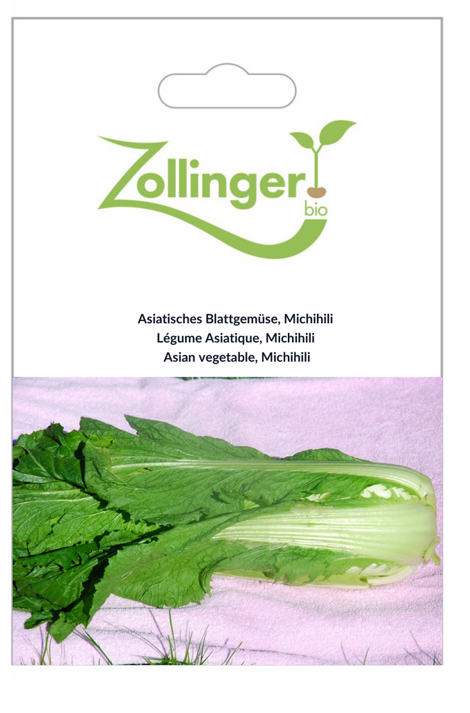 Buy Asian vegetable, Michihili seeds | Zollinger Bio